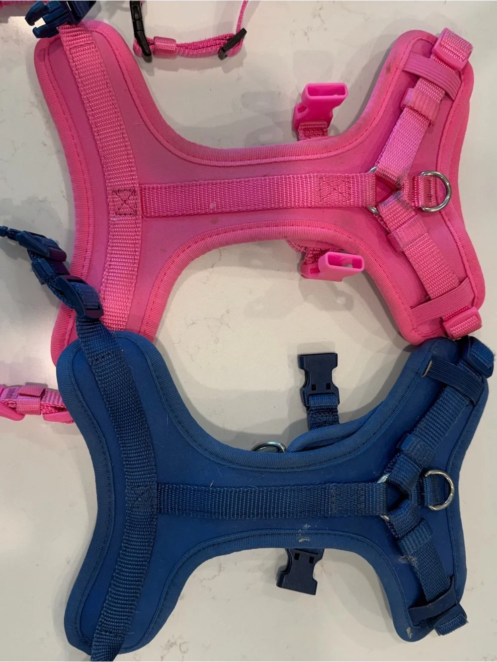 XS Dog Clothes, Bandanas, and Harnesses